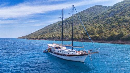 Bodrum City Center Bootsverleih | Lıfe ıs lıfe