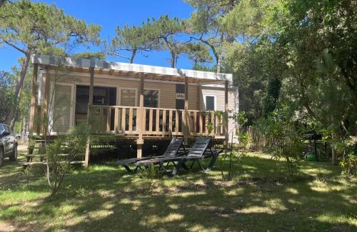Piriac-sur-Mer Sonstige | L'écureuil