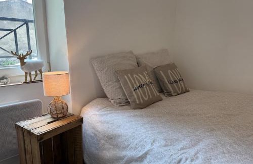 Perignat-les-Sarlieve Haus | L'Hedera - proche Zenith & Calme