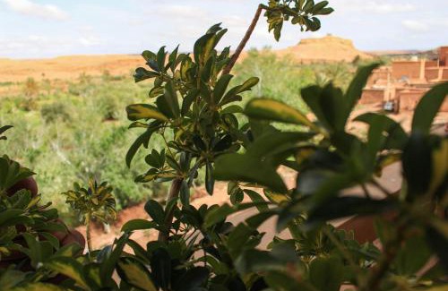 Ait Benhaddou Bed & Breakfast | L'oasis Du Bonheur