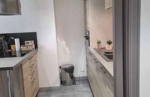 Epinal Wohnung | L'Ourse, Epinal,très bel appartement quartier Port