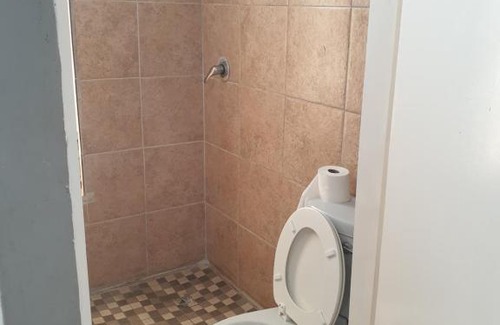 Primrose Haus | L-PACK PRIMROSe