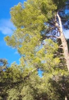 Entrecasteaux Bed & Breakfast | la bergerie des colles