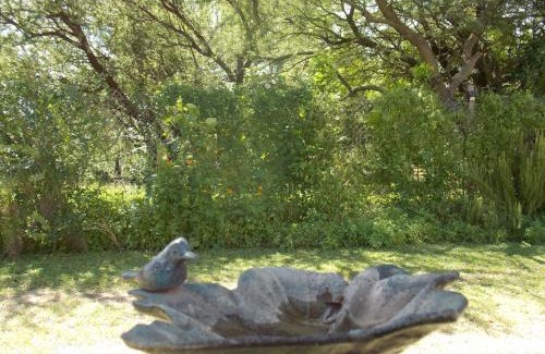 Nono Haus | La cabañita de Maco