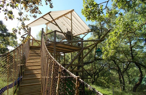 Zafarraya Haus | La Carpa ... Bigtop in einem Waldgebiet