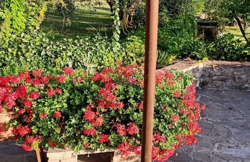 Campiglia Marittima Haus | La Casa Magica 2