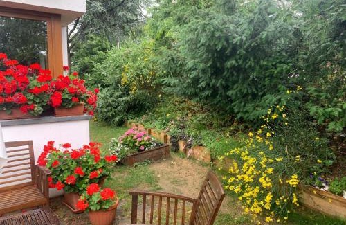 Monzuno Wohnung | La dimora di Dafne 48