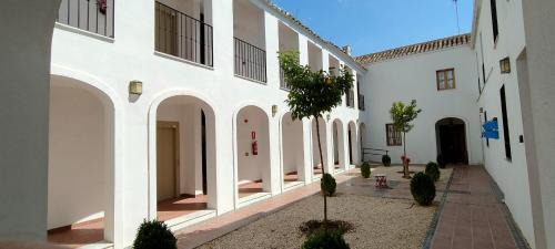San Basilio Wohnung | La Jⲟya de los Patios - Apartamentos Turísticos