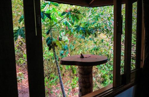 Palomino Hotel | La Jorará EcoHotel y Reserva Natural