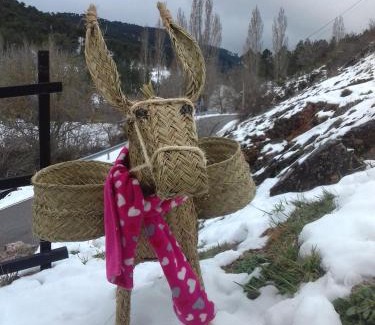 Paterna del Madera Haus | La María de Tortas