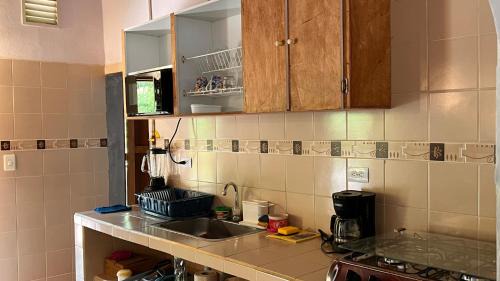 Concepcion Haus | La Ponderosa Concepción