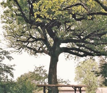 Caianello Haus | La Quercia di Aorivola