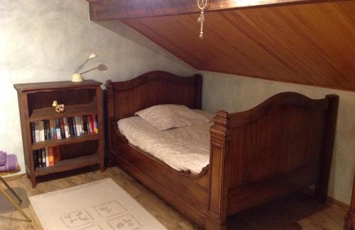 Etrembieres Haus | La Sapotine