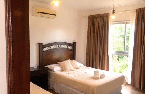 Encarnacion Haus | La terraza apart a minutos del centro