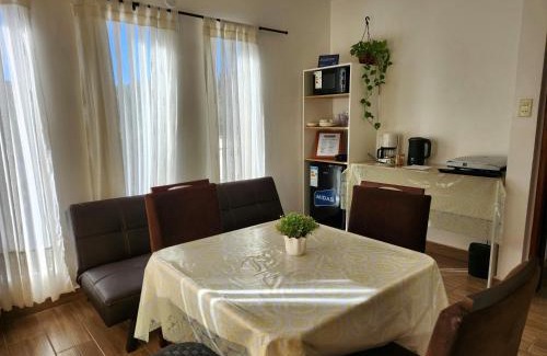 Encarnacion Haus | La terraza apart a minutos del centro