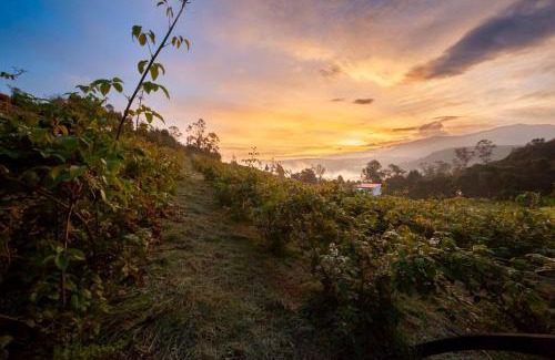 Arcabuco Skihütte | La Tribuna de los Andes Cabin 2
