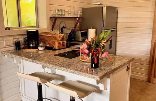 Caribbean Way Haus | La Vida Belize Studio an Affordable Property Just steps from the Beach