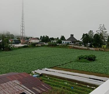 Berastagi Haus | LA97 Homestay