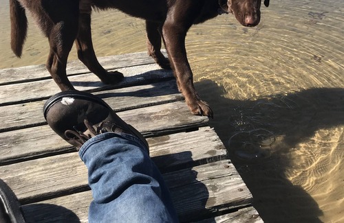 Hale Kabine | Lake Front cabin on ORV trail head! 5 mins from AuSable River pets welcome!