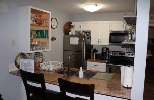 Port Clinton Eigentumswohnung | Seeblick auf die Inseln. Gehen Sie zu den Jet Express Docks in der Innenstadt NEU RENOVIERT!