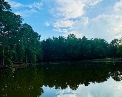 Auburn Haus | Lakefront Condo - King Bed Full Kitchen