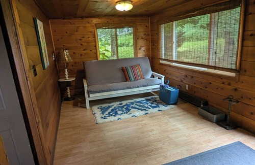 Conneaut Lake Kabine | Lakefront house with land dock