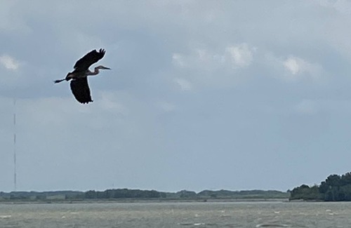 Toledo Haus | Lakeside Paradise with Priceless Views - close to Toledo