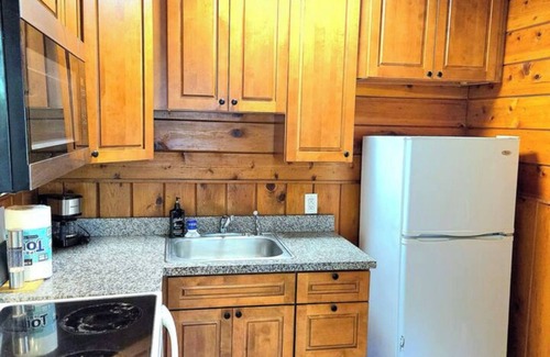 Chicago Park Kabine | Lakeview Country Cabin ~ Studio King Bed w/ Futon