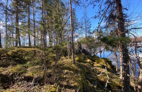 Oravi Sonstige | Lammassaari