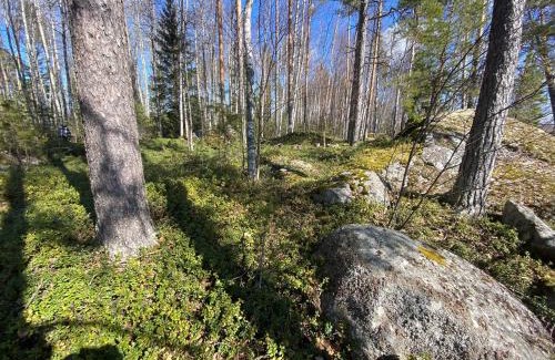 Oravi Sonstige | Lammassaari