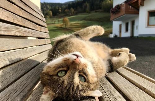 Maschl Haus | Landhaus mit Familienglück und Ofenwärme