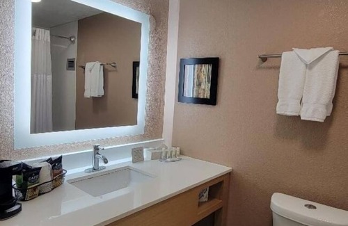 Lansing Hotel | Lansing Delta West Hotel