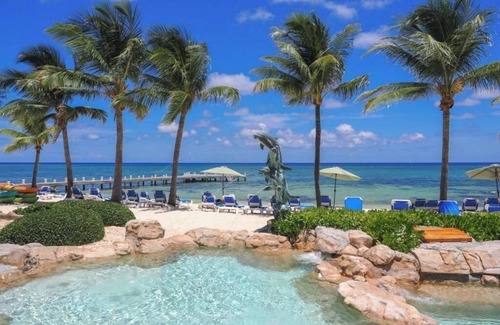 Colliers Bay Haus | Large bedroom apt with a kitchen big Queen bed and two Murphy beds
