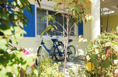 Colliers Bay Haus | Large bedroom apt with a kitchen big Queen bed and two Murphy beds