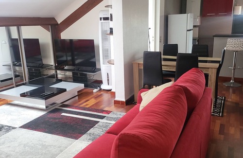 La Varenne Saint-Hilaire Wohnung | Large duplex near Paris and Disney