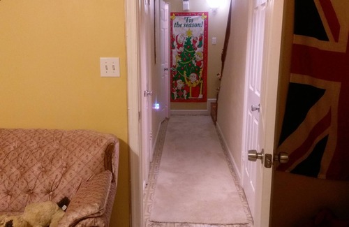 Gaithersburg Haus | Großer möblierter Kellerraum