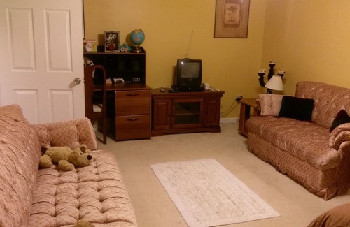 Gaithersburg Haus | Großer möblierter Kellerraum