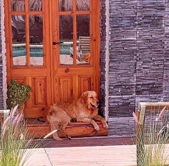 Carmen de Areco Haus | LAS CASUARINAS CABAÑA Spa