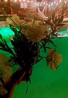 Carmen de Areco Haus | LAS CASUARINAS CABAÑA Spa