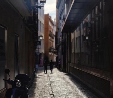 La Palmera-Reina Mercedes Wohnung | Las naranjas de reina mercedes