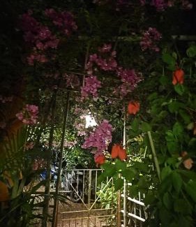 Querim Haus | Laxmi Happy Home in Querim Goa