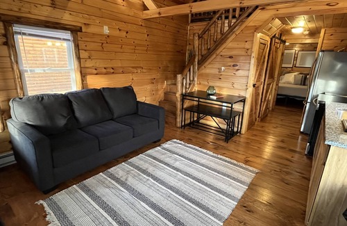 Ashtabula Kabine | Lazy Bear Cabin in between Geneva-on-the-Lake and the Historic Ashtabula Harbor