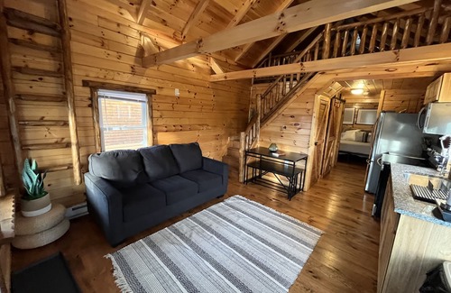 Ashtabula Kabine | Lazy Bear Cabin in between Geneva-on-the-Lake and the Historic Ashtabula Harbor