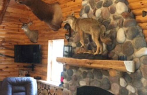 Blaney Park Kabine | Lazy Cedars Blockhaus