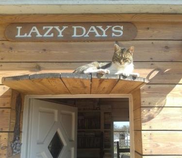 Debrecen Haus | Lazy Days