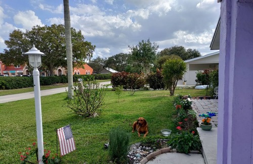 Rock Ridge Haus | Lazy Lilac Beach Getaway