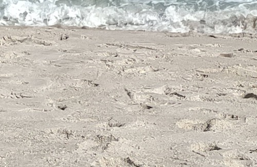 Rock Ridge Haus | Lazy Lilac Beach Getaway