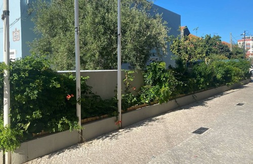 Setubal Haus | LazyDaze!!
