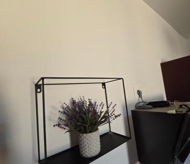 Bras Wohnung | Le colibris