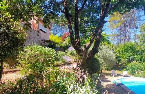 Carces Wohnung | Le Figuier appart 2-3 pers en plein vignoble avec piscine privée à 30mn des gorgesdu Verdon et des plages